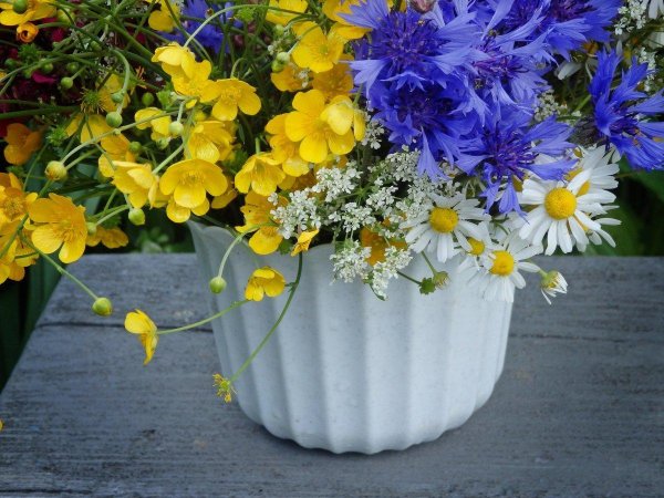 красивые букеты полевых цветов