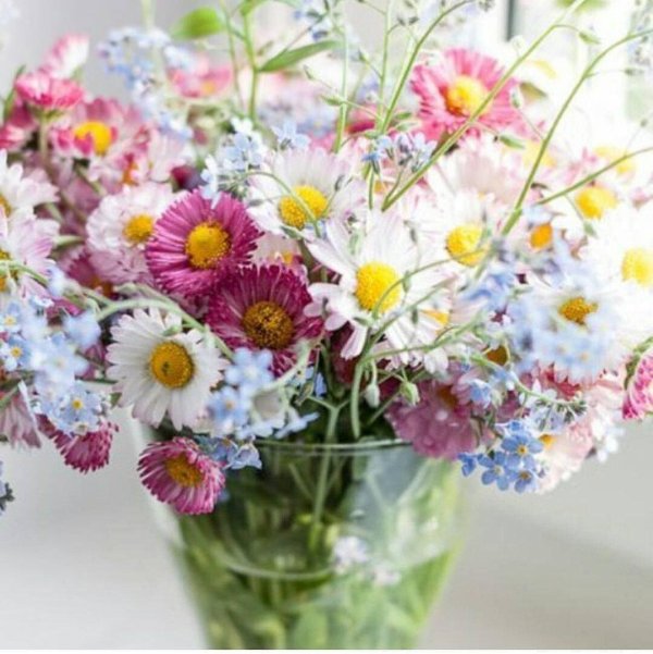 летние букеты