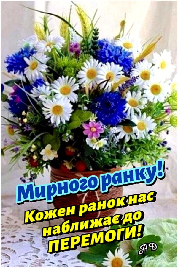 добрий ранок