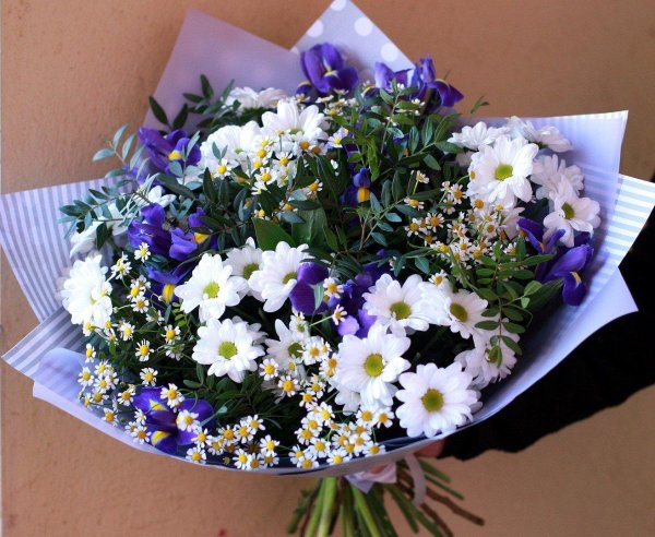 матрикария букет