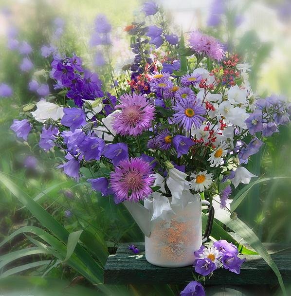 открытка с полевыми цветами