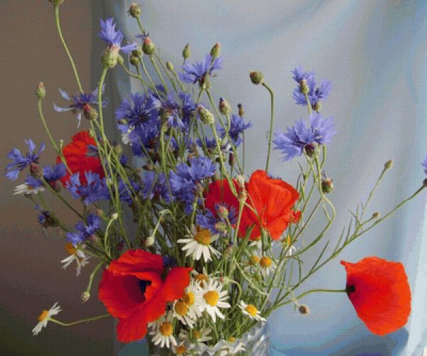 букеты полевых васильков ромашек маков