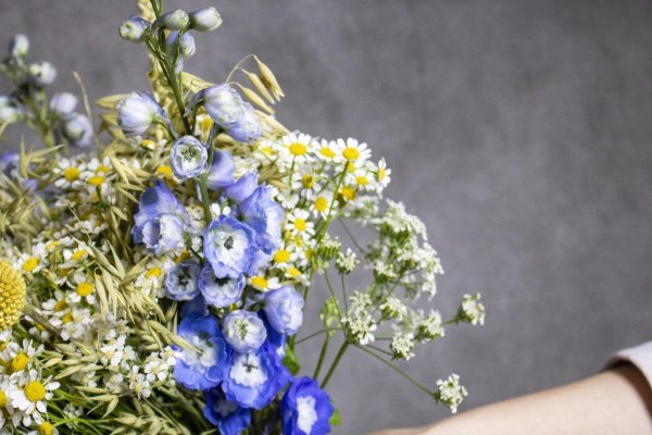 красивые букеты полевых цветов