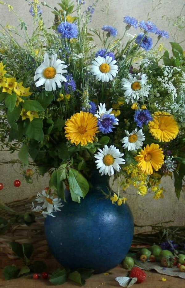 ромашка календула василек