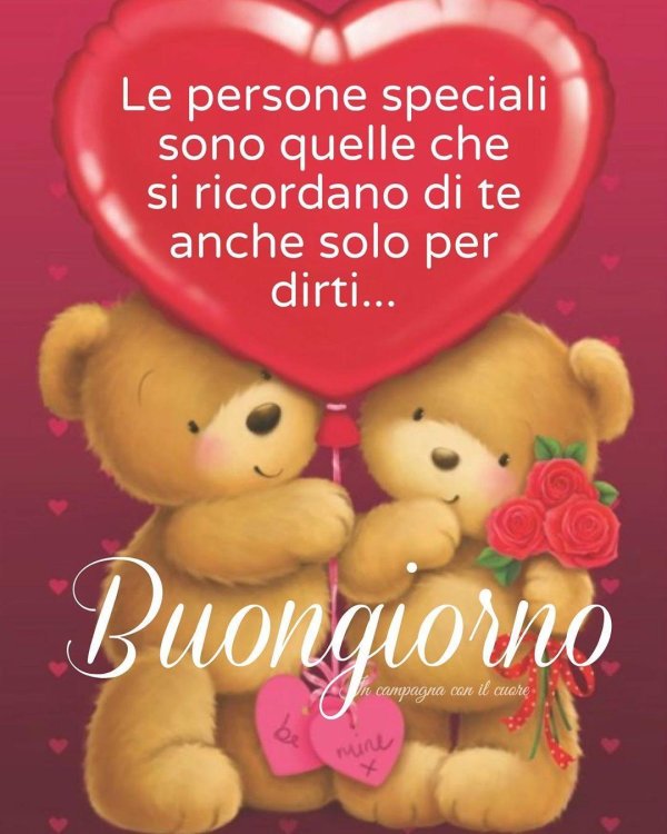 мишки любовь