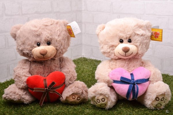 красивые мишки