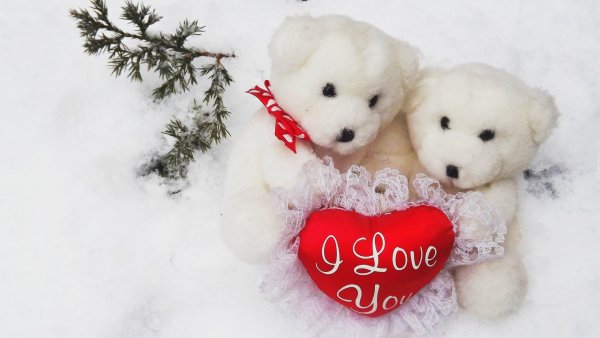 белые мишки