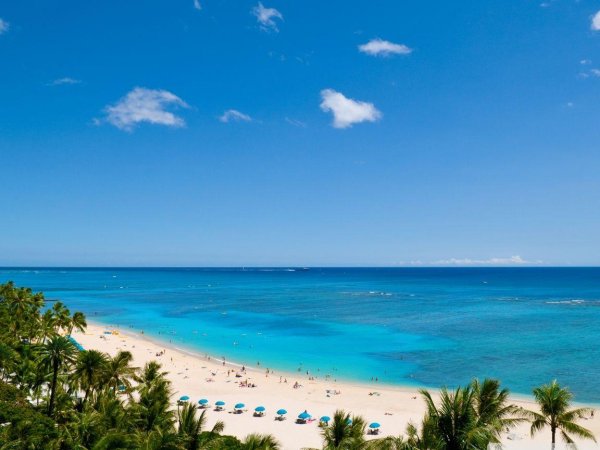 вайкики бич гавайи