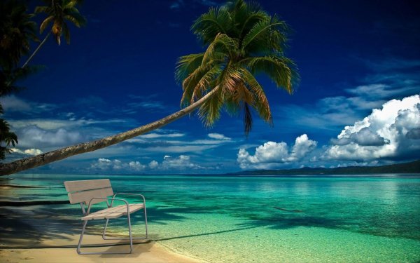 парадиз остров карибского моря