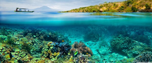 подводные пейзажи