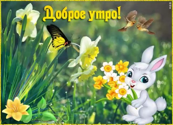 открытка с добрым утром весенняя прикольные