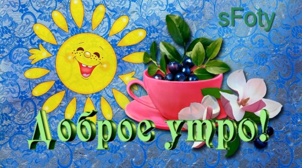 доброе утречко отличного дня