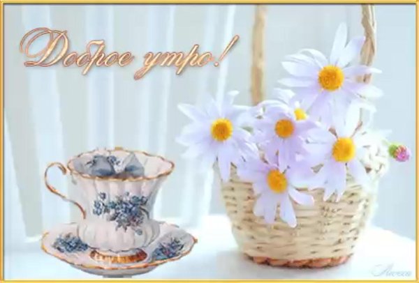 ромашки доброе утро