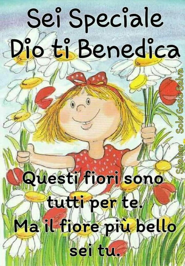 buona giornata
