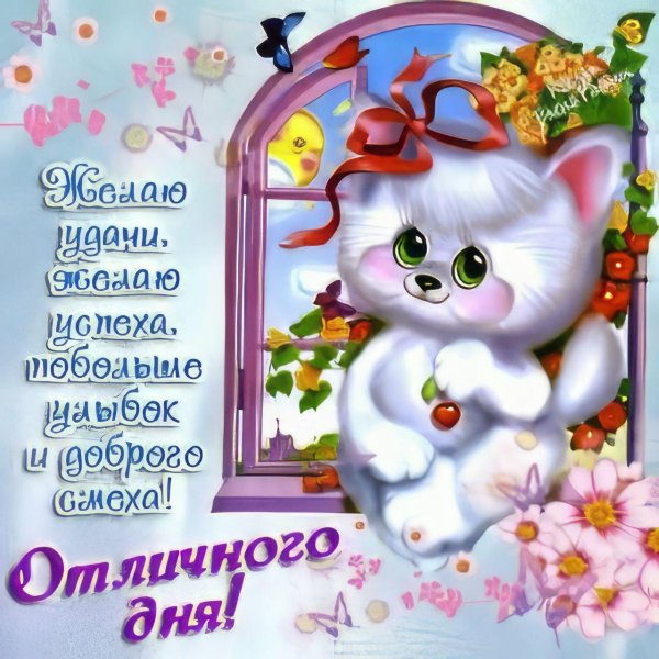 пожелание удачного дня