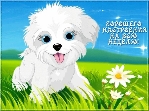 приветик открытка