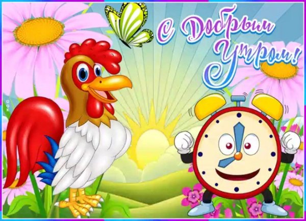 с добрым утром прикольная открытка