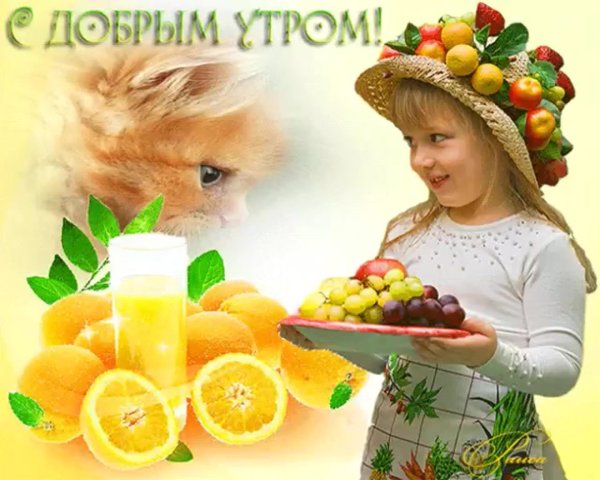 доброе утро с детьми и животными