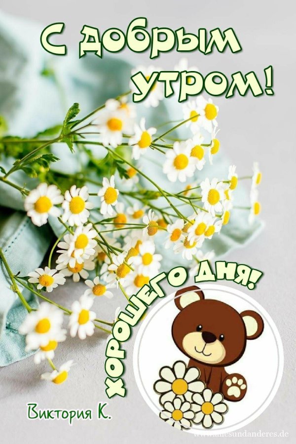 доброе утро ромашка