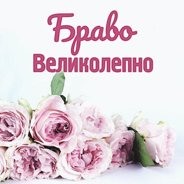 пионовидная роза