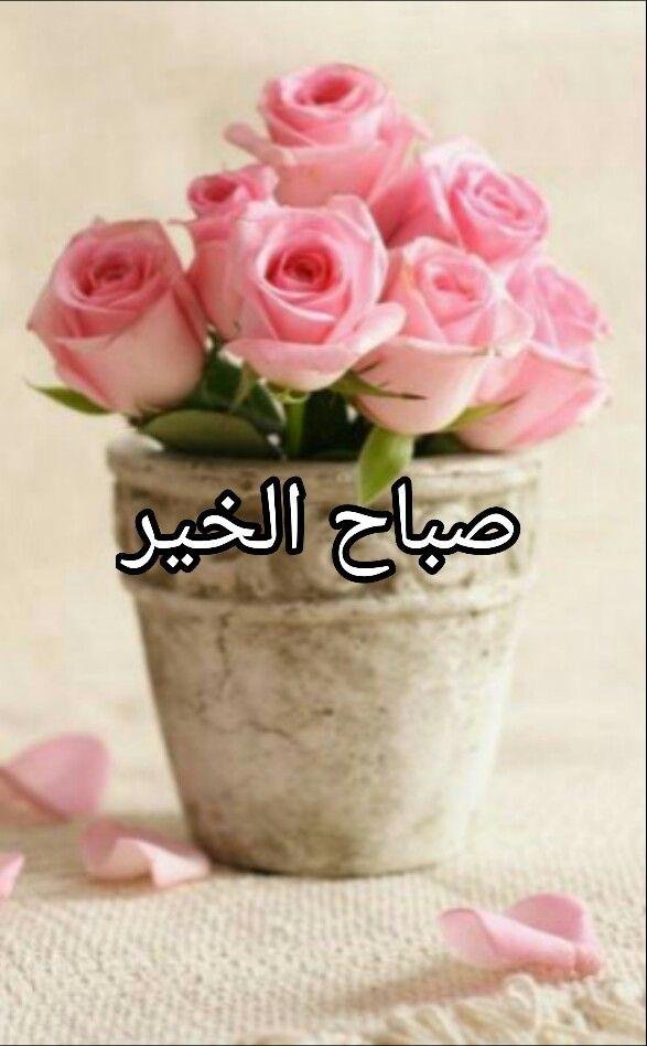 милые цветы