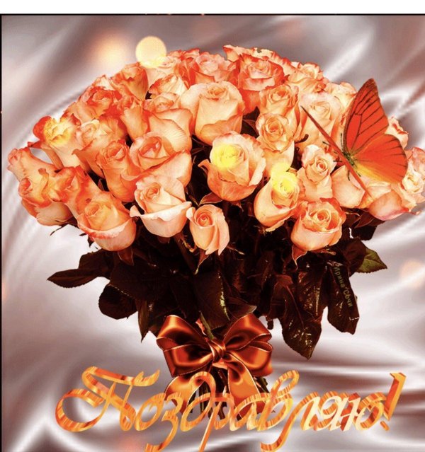 букет роз