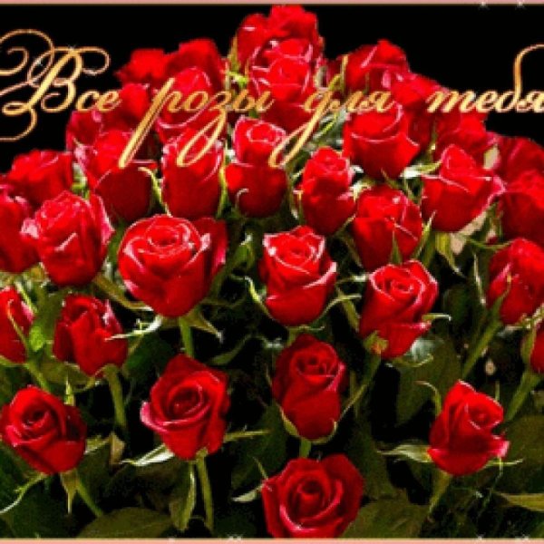 открытки с розами