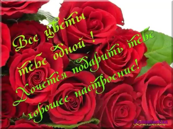 розы для тебя