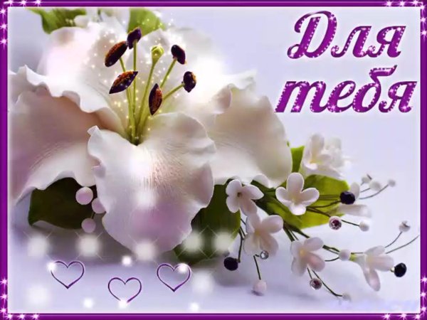 открытка лилии