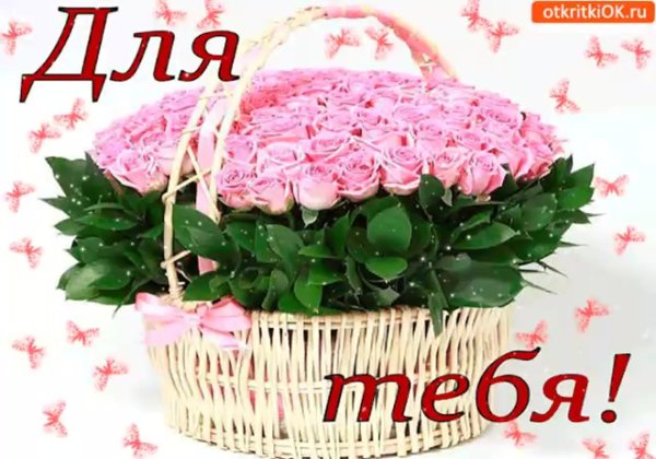 корзина с цветами