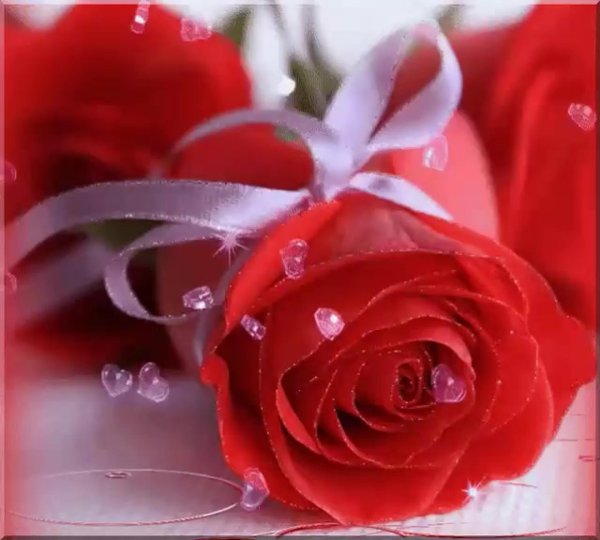 роза для любимой