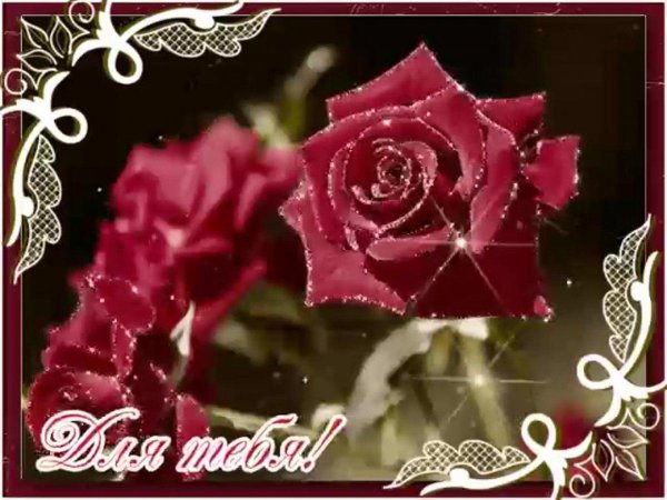 сверкающие розы