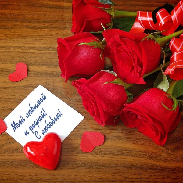 любовь цветы