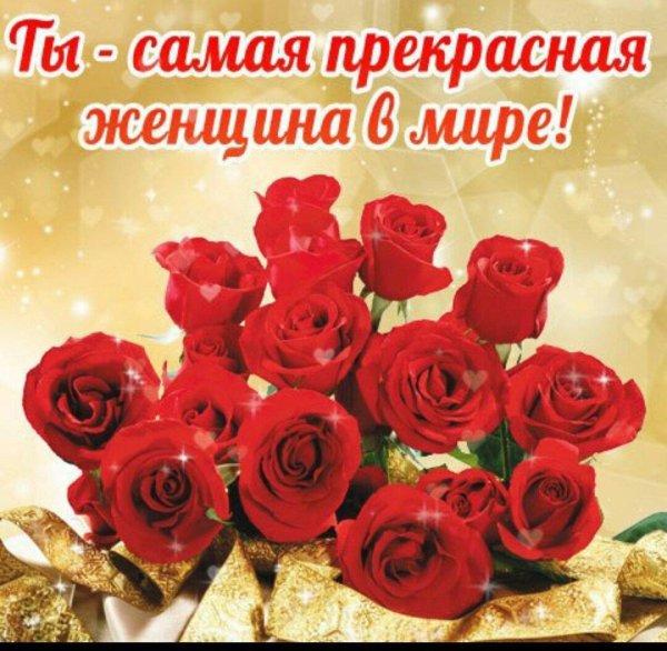 роза красивая