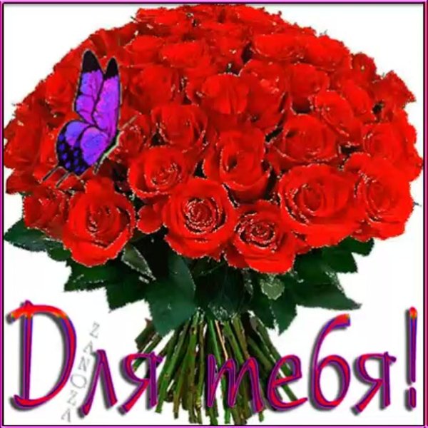 букет роз поздравляю