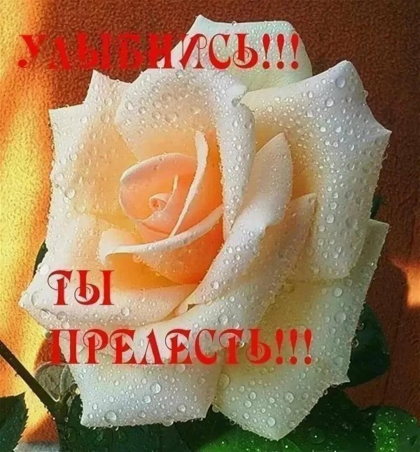 ты прекрасная