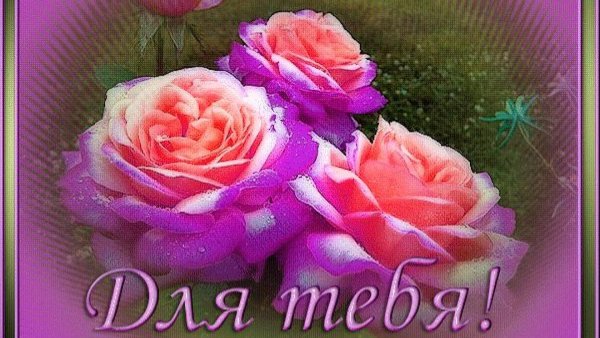 для тебя picmix