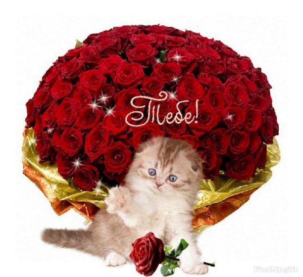 шикарные букеты