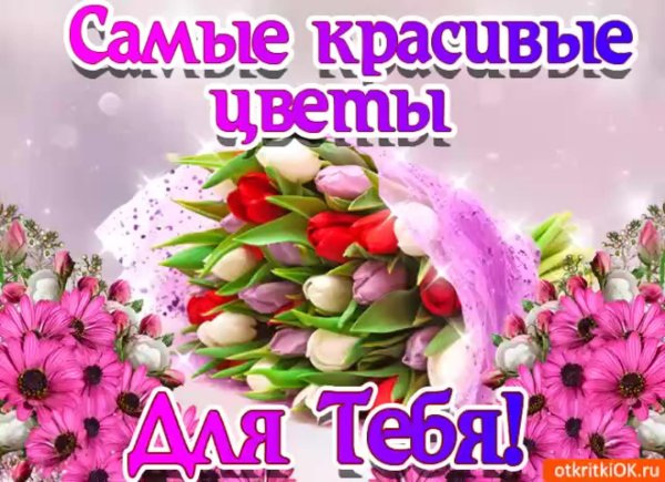 поздравления и открытки