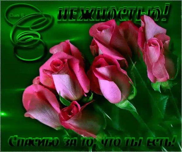 красивая открытка