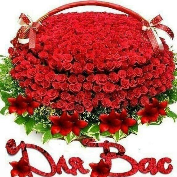 красивые поздравительные букеты