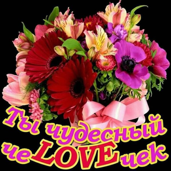 цветы для леночки