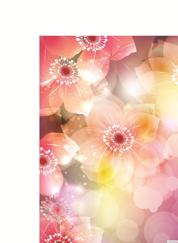 цветочные фоны