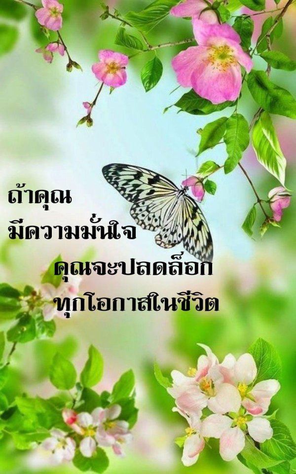 фотообои бабочки