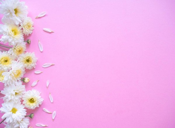 цветочные фоны