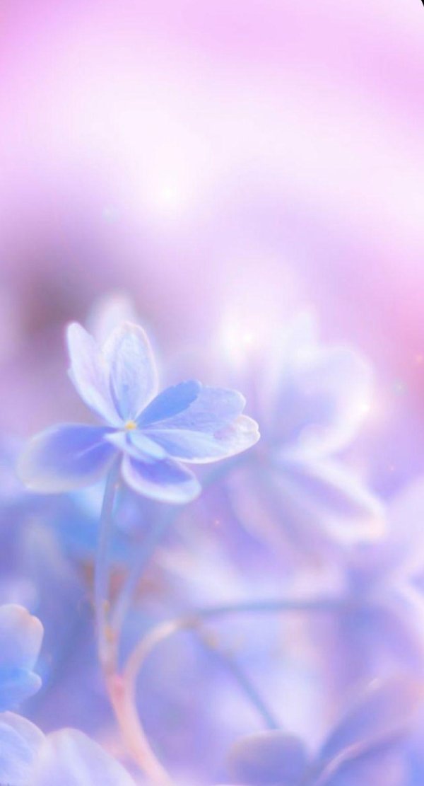 нежно голубой цвет