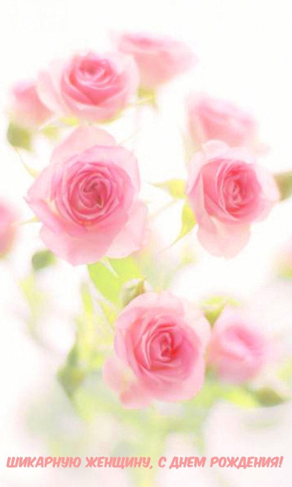 нежная открытка на день рождения