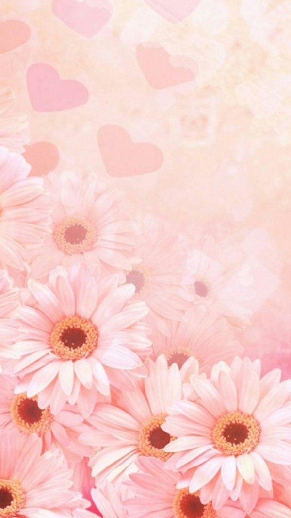 цветочные фоны