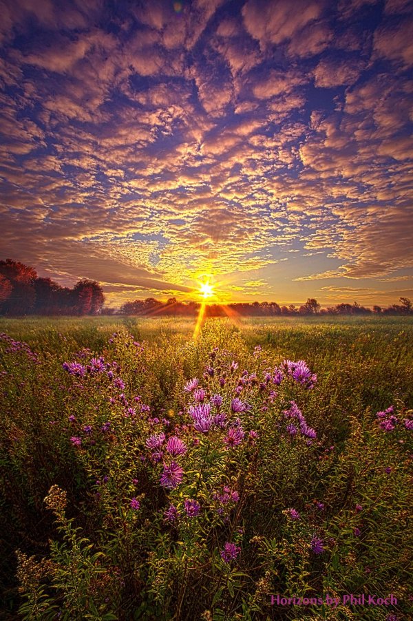 sunrise sunset sunrise