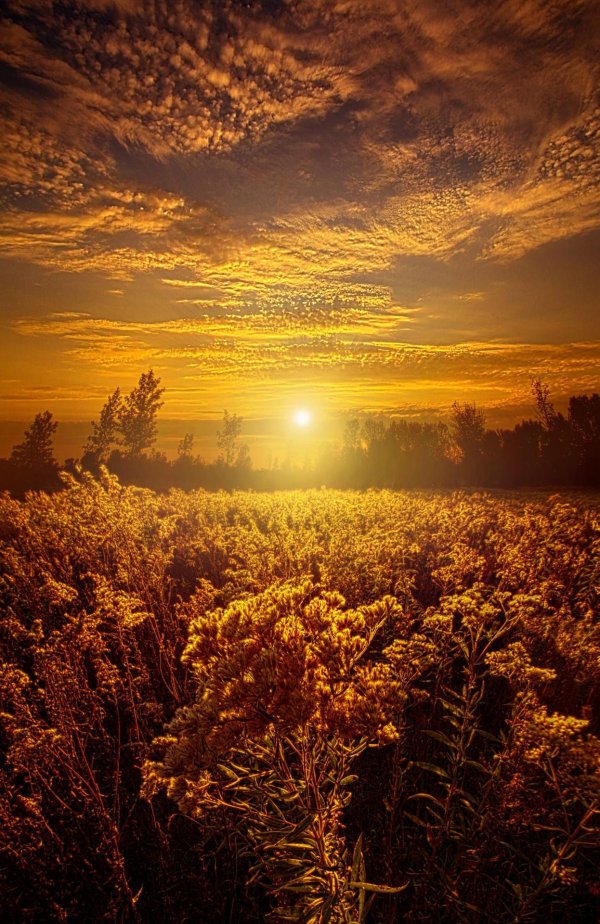 ранний рассвет